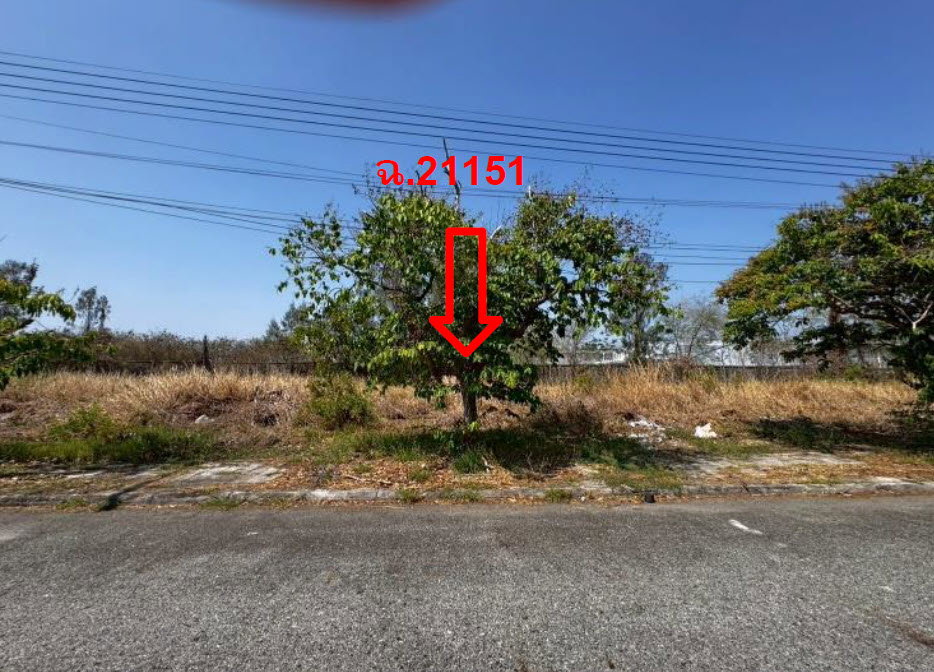 picture LAND 159.9 Sq.w. Bang Pakong Chachoengsao for 3.5M - 2/3