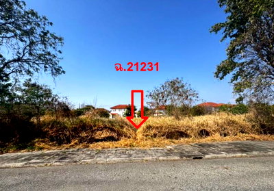 ที่ดินเปล่า 161.2 ตร.วา วิจิตราธานี อำเภอบางปะกง จังหวัดฉะเชิงเทรา 3.7M