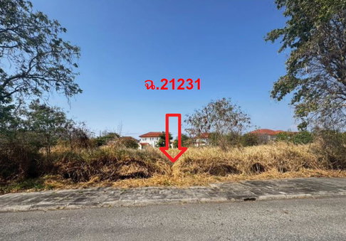 ที่ดินเปล่า 161.2 ตร.วา วิจิตราธานี อำเภอบางปะกง จังหวัดฉะเชิงเทรา 3.7M