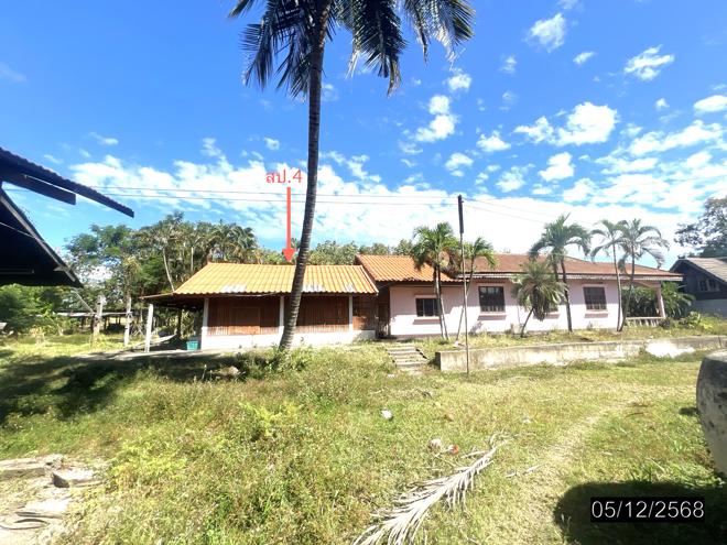 รูป บ้านเดี่ยว 9959 ตร.วา ไพรบึง ศรีสะเกษ 4.3M - รูปที่ 4/32