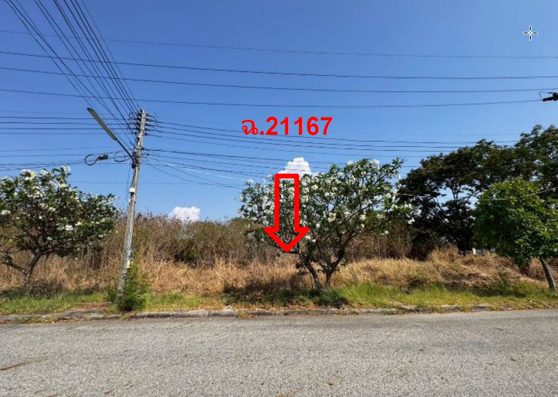 picture LAND 156.7 Sq.w. Bang Pakong Chachoengsao for 3.4M - 2/3