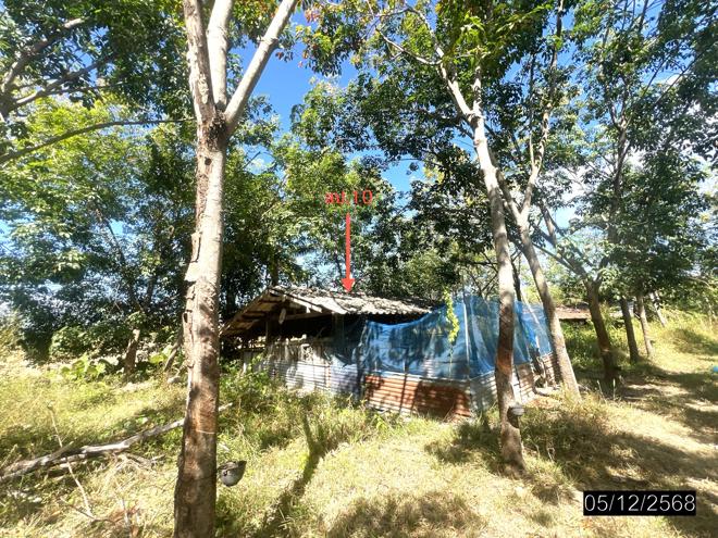 รูป บ้านเดี่ยว 9959 ตร.วา ไพรบึง ศรีสะเกษ 4.3M - รูปที่ 10/32