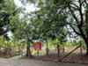 listing thumbnail image 6