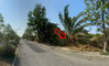 listing thumbnail image 1