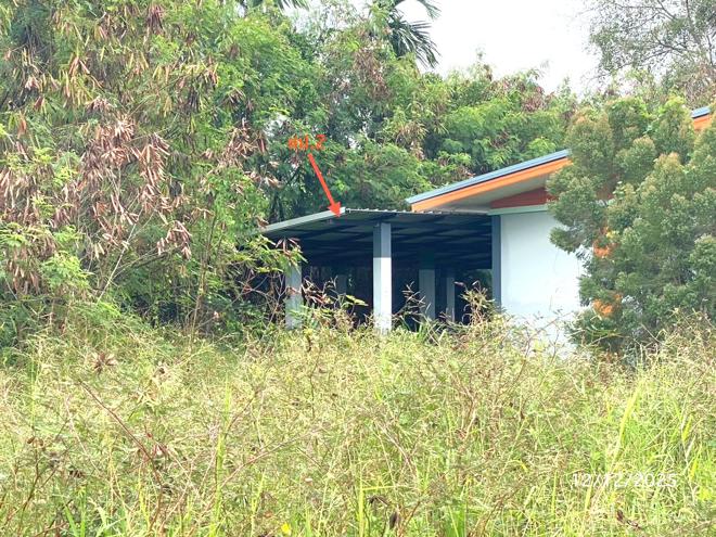 รูป บ้านเดี่ยว 234.3 ตร.วา นครชัยศรี นครปฐม 2.7M - รูปที่ 2/12