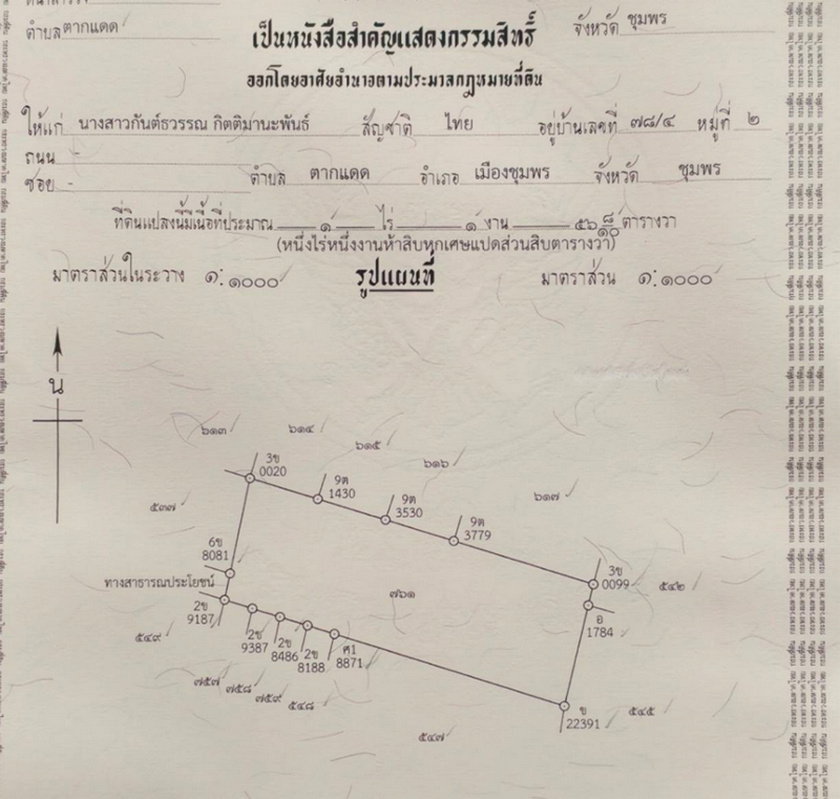 รูป Call : 093-596-9441 ขายที่ดิน 556 ตารางวา ใกล้ตัวเมืองชุมพร เพียง 1.5 กม. ทำเลถนน 2009 ตำบลตากแดด เมืองชุมพร ใกล้โลตัส แม็คโคร เมืองชุมพร - รูปที่ 12/13