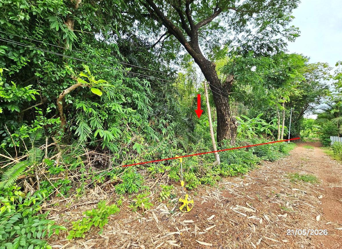 picture LAND 271 Sq.w. Tron Uttaradit for 326,000 - 10/22