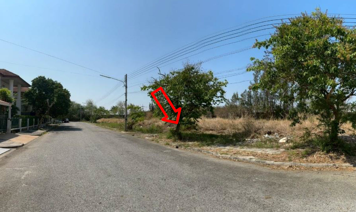 picture LAND 159.9 Sq.w. Bang Pakong Chachoengsao for 3.5M - 1/3