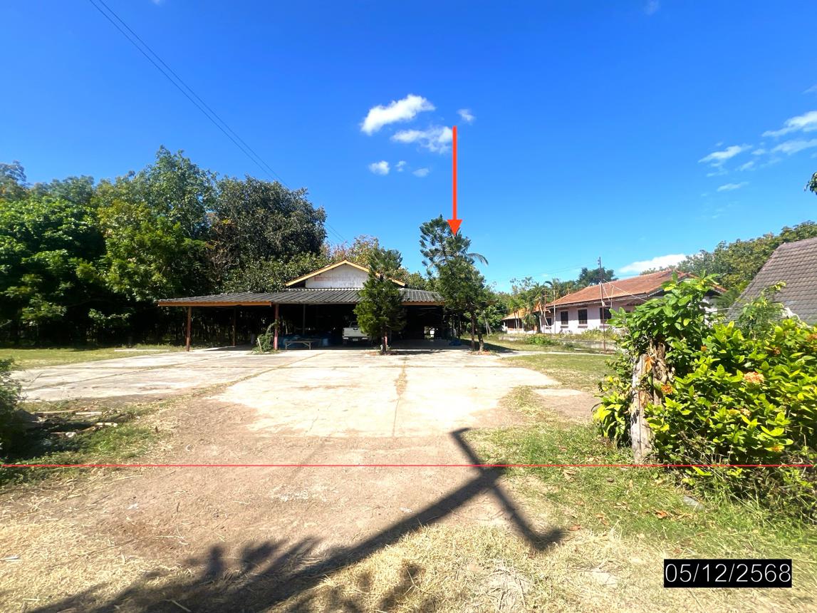 รูป บ้านเดี่ยว 9959 ตร.วา ไพรบึง ศรีสะเกษ 4.3M - รูปที่ 28/32