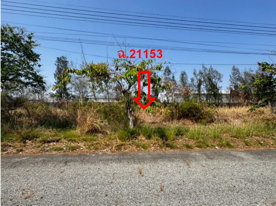 รูป ที่ดินเปล่า 160.4 ตร.วา วิจิตราธานี อำเภอบางปะกง จังหวัดฉะเชิงเทรา 3.5M - รูปที่ 2/3