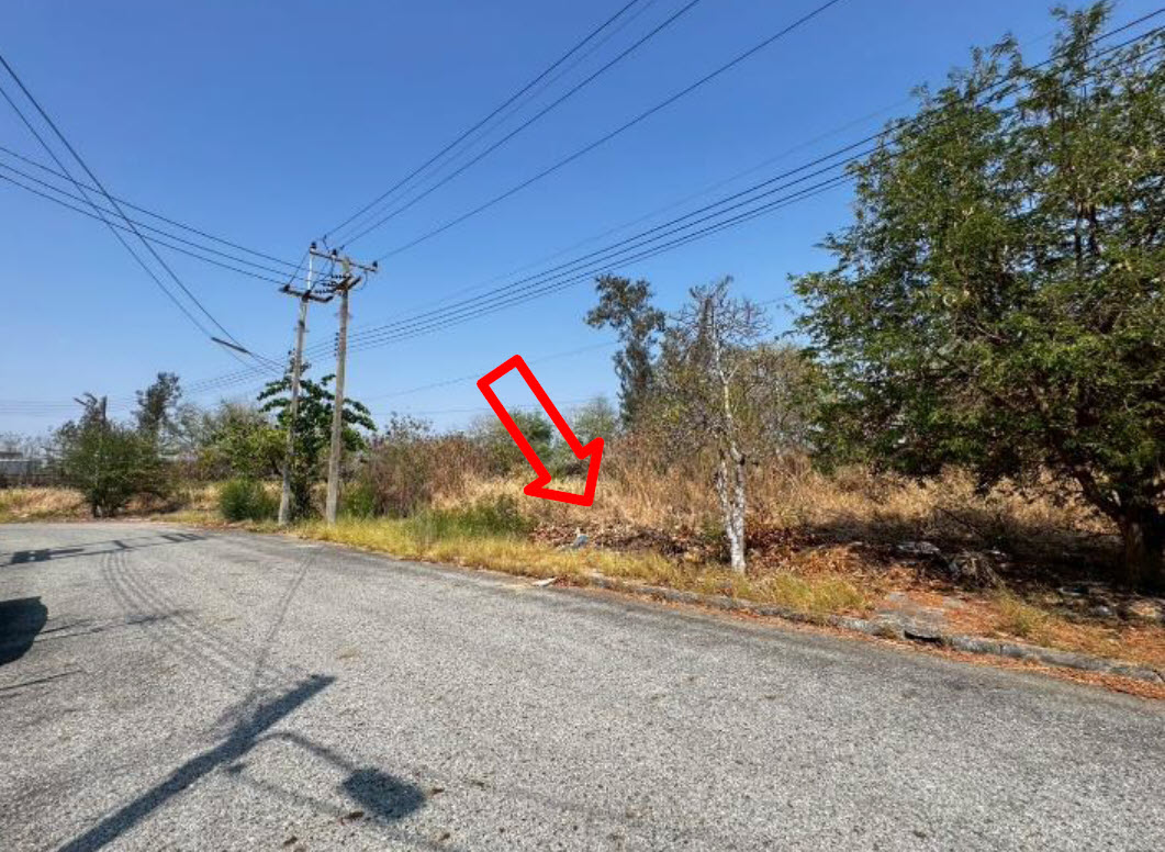 picture LAND 174.7 Sq.w. Bang Pakong Chachoengsao for 3.8M - 1/3