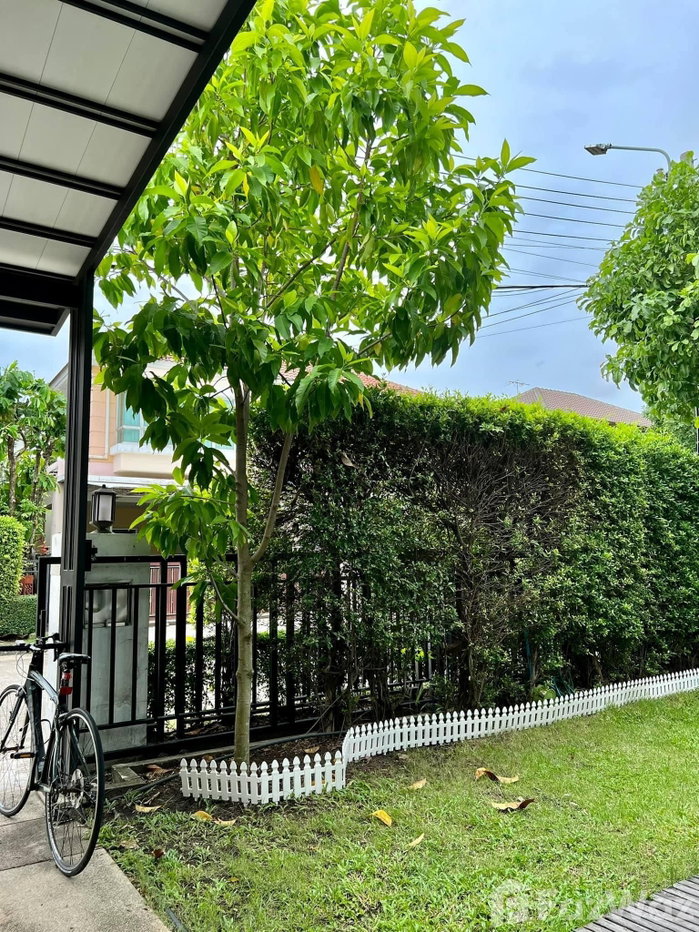 รูป บ้านเดี่ยวให้เช่า 4 ห้องนอน ในโครงการ ไลฟ์ บางกอก บูเลอวาร์ด ราชพฤกษ์ - จรัญฯ 1096702 - รูปที่ 20/22