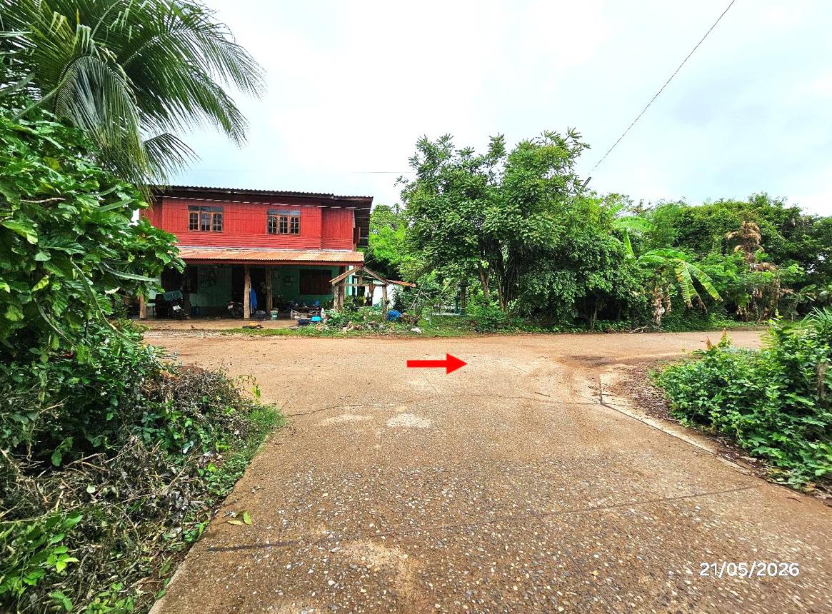 picture LAND 271 Sq.w. Tron Uttaradit for 326,000 - 17/22