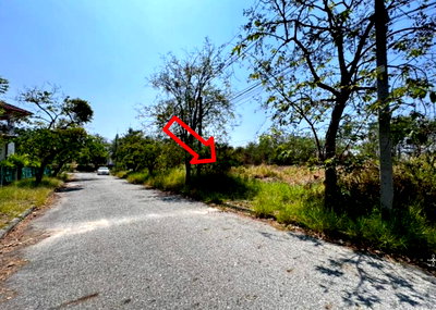 Land for sale Wellgrow Industrial Estate : LAND 160.3 Sq.w. Bang Pakong Chachoengsao for 3.5M