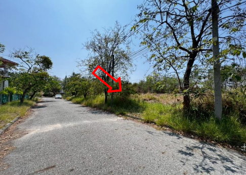 LAND 160.3 Sq.w. Bang Pakong Chachoengsao for 3.5M