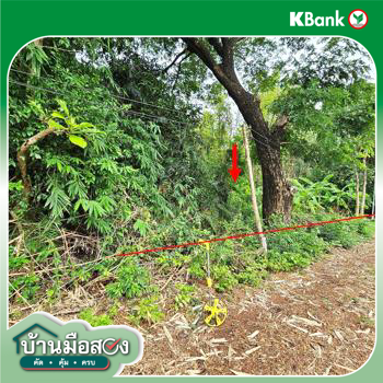 picture LAND 271 Sq.w. Tron Uttaradit for 326,000 - 20/22
