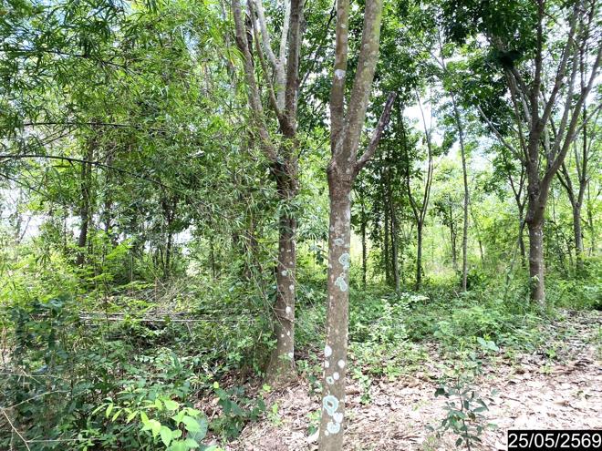 picture HOME 7454 Sq.w. Kumphawapi Udon Thani for 3.8M - 14/38
