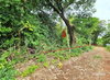 listing thumbnail image 0
