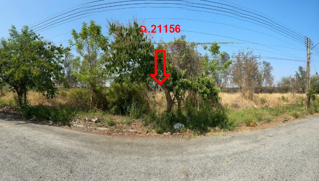 picture LAND 160.7 Sq.w. Bang Pakong Chachoengsao for 3.5M - 2/3