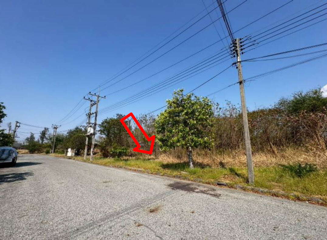 picture LAND 174.3 Sq.w. Bang Pakong Chachoengsao for 3.8M - 1/3