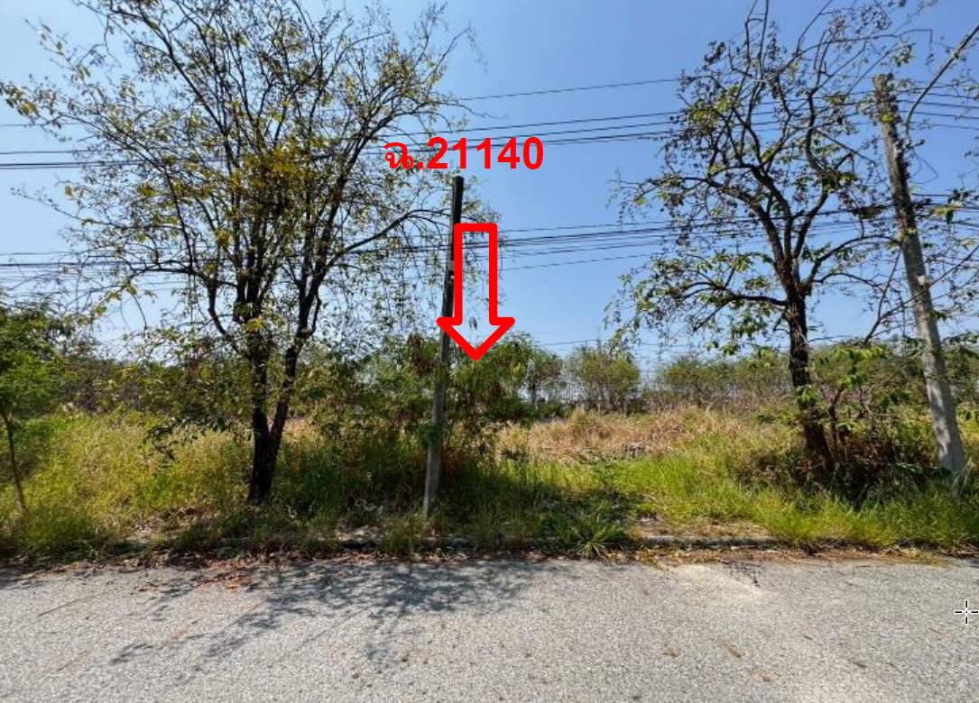 picture LAND 160.3 Sq.w. Bang Pakong Chachoengsao for 3.5M - 2/3