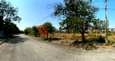 Land for sale Wellgrow Industrial Estate : LAND 160.5 Sq.w. Bang Pakong Chachoengsao for 3.5M
