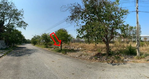 LAND 160.5 Sq.w. Bang Pakong Chachoengsao for 3.5M