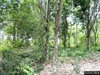 listing thumbnail image 30