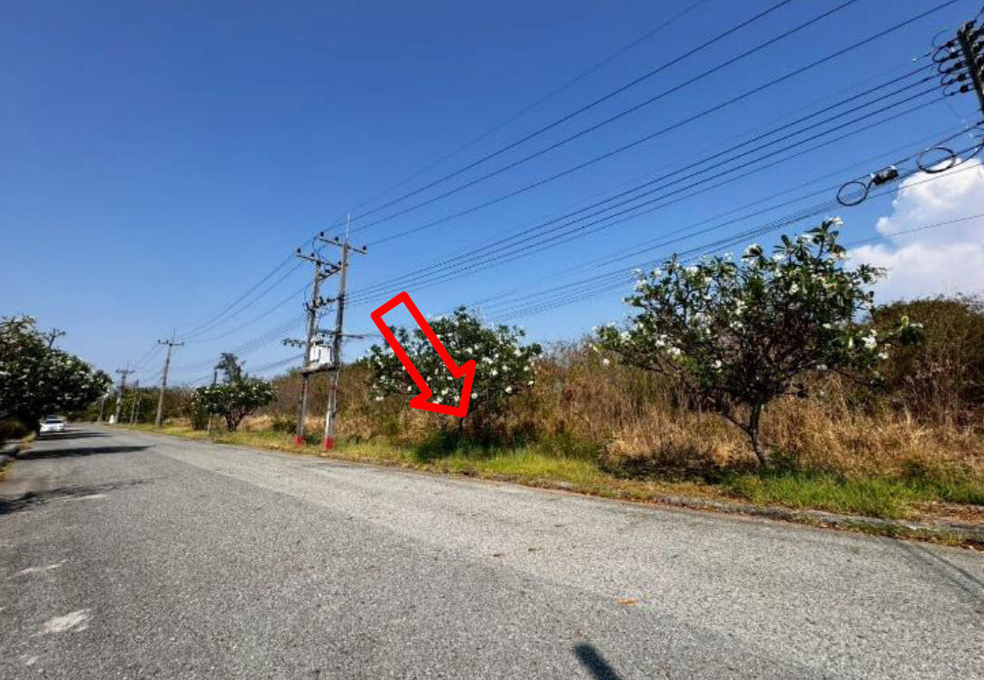 picture LAND 156.8 Sq.w. Bang Pakong Chachoengsao for 3.5M - 2/3