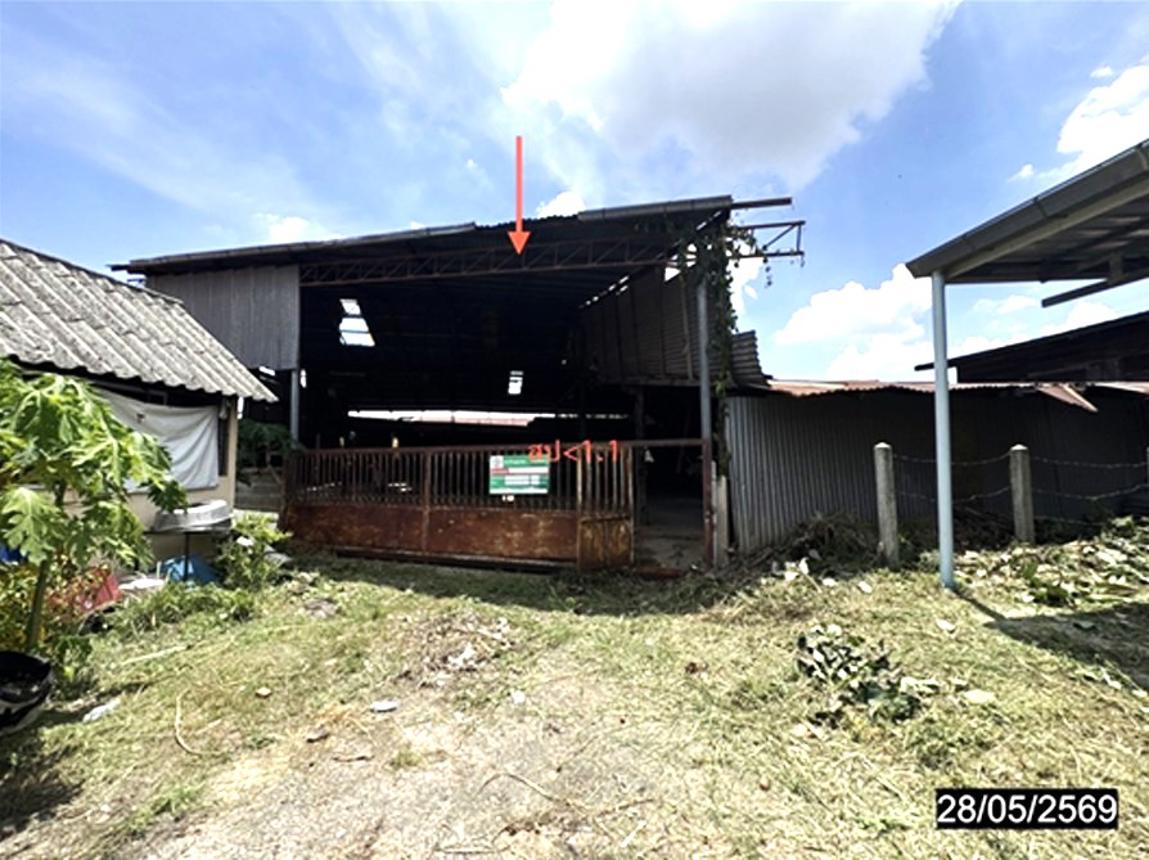 รูป โกดัง 304 ตร.วา เมืองอำนาจเจริญ อำนาจเจริญ 1.3M - รูปที่ 11/22