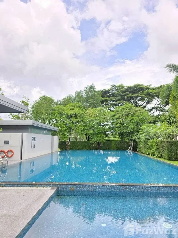 picture Modern corner Detached House With A Large Private Garden. 6558278 - 8/8