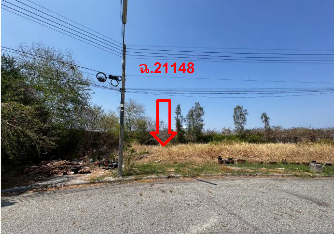 รูป ที่ดินเปล่า 179.1 ตร.วา วิจิตราธานี อำเภอบางปะกง จังหวัดฉะเชิงเทรา 3.9M - รูปที่ 2/3