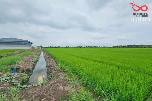 ขายที่ดิน 2-3-18 ไร่ สุวินทวงศ์ ใกล้ตลาดฉิน คลองหลวงแพ่ง ฉะเชิงเทรา