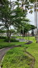 listing thumbnail image 10