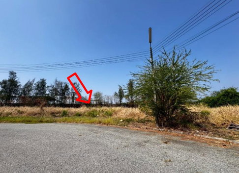 LAND 373.1 Sq.w. Bang Pakong Chachoengsao for 8.2M
