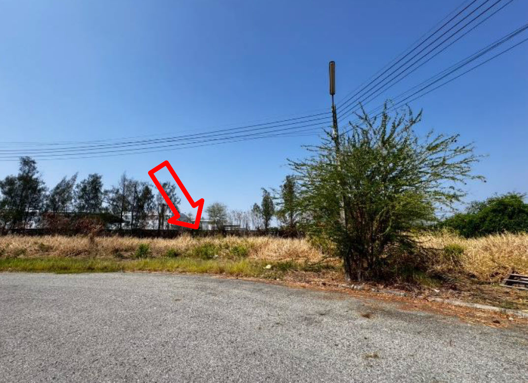 picture LAND 373.1 Sq.w. Bang Pakong Chachoengsao for 8.2M - 1/3