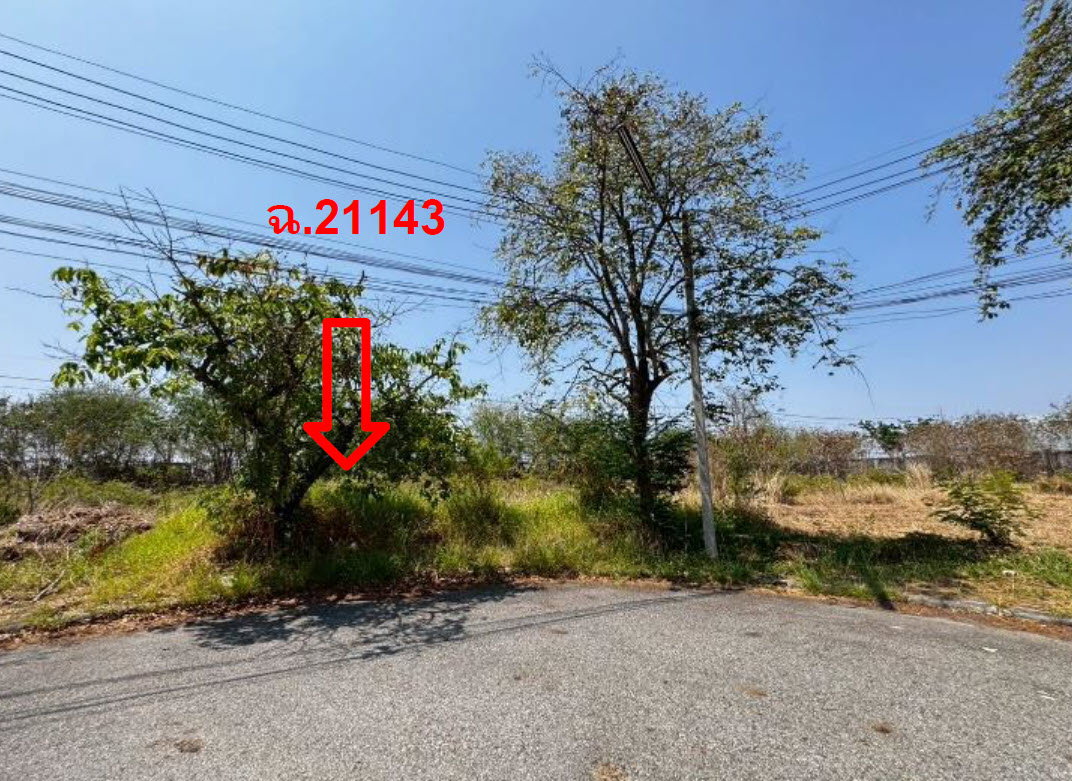รูป ที่ดินเปล่า 254.6 ตร.วา วิจิตราธานี อำเภอบางปะกง จังหวัดฉะเชิงเทรา 5.6M - รูปที่ 2/3