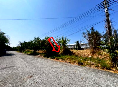Land for sale Wellgrow Industrial Estate : LAND 160.7 Sq.w. Bang Pakong Chachoengsao for 3.5M