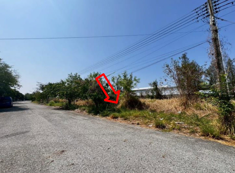 picture LAND 160.7 Sq.w. Bang Pakong Chachoengsao for 3.5M - 1/3