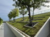 listing thumbnail image 30