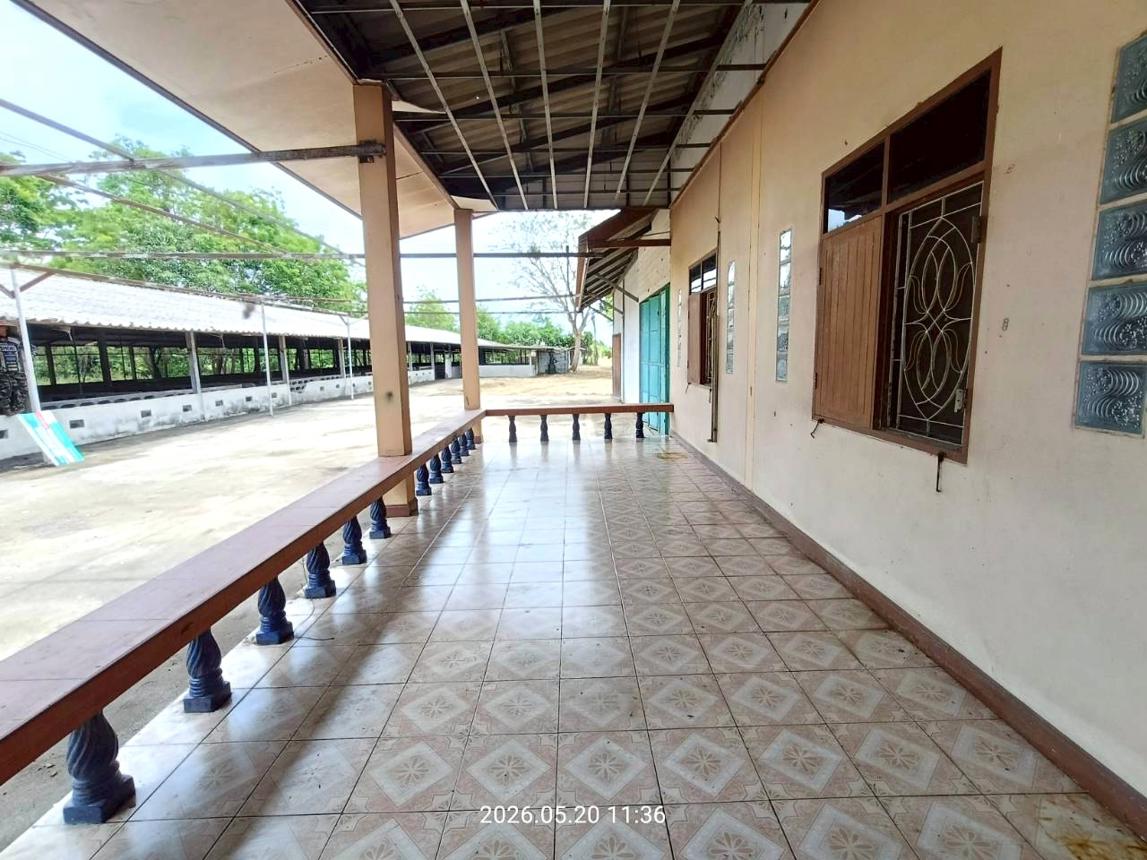 รูป บ้านเดี่ยว 2000 ตร.วา ศรีประจันต์ สุพรรณบุรี 3.8M - รูปที่ 24/46