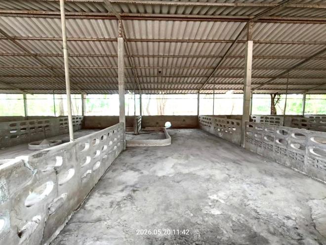รูป บ้านเดี่ยว 2000 ตร.วา ศรีประจันต์ สุพรรณบุรี 3.8M - รูปที่ 13/46