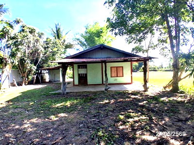 HOME 147.3 Sq.w. Muang Ya Sothon Yasothon for 493,000