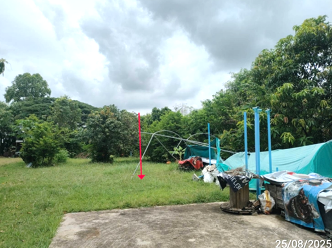 รูป บ้านเดี่ยว 303.1 ตร.วา จตุรพักตรพิมาน ร้อยเอ็ด 12.2M - รูปที่ 3/10