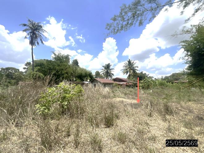 picture LAND 208 Sq.w. Pho Sai Ubon Ratchathani for 193,000 - 7/22