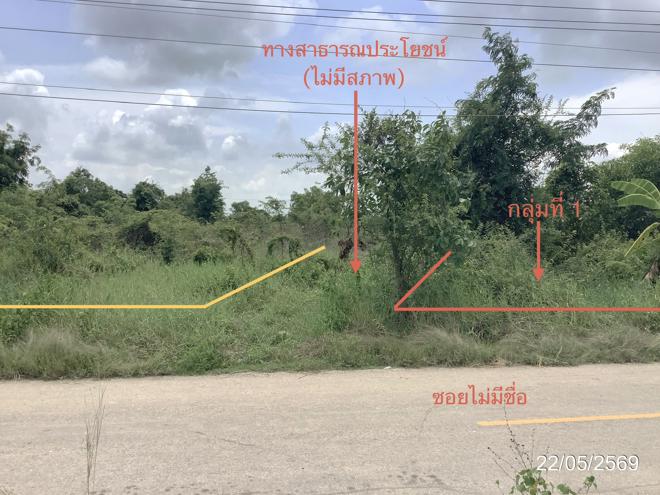 picture LAND 3979 Sq.w. Khlong Khlung Kamphaeng Phet for 4.5M - 3/32
