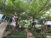 listing thumbnail image 15