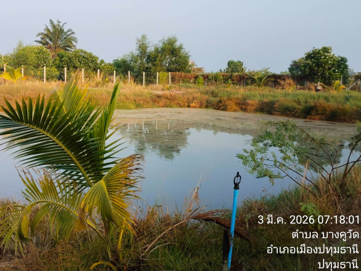 รูป ขายที่ดิน 2 ไร่ 86 ตรว. ต.นพรัตน์ อ. หนองเสือ จ.ปทุมธานี คลอง12 - รูปที่ 4/8