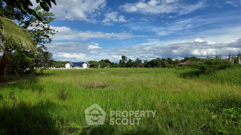 For sale Land Plot In San Pu Loei, Doi Saket, Chiang Mai (ID 3062344)