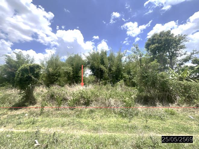picture LAND 208 Sq.w. Pho Sai Ubon Ratchathani for 193,000 - 1/22